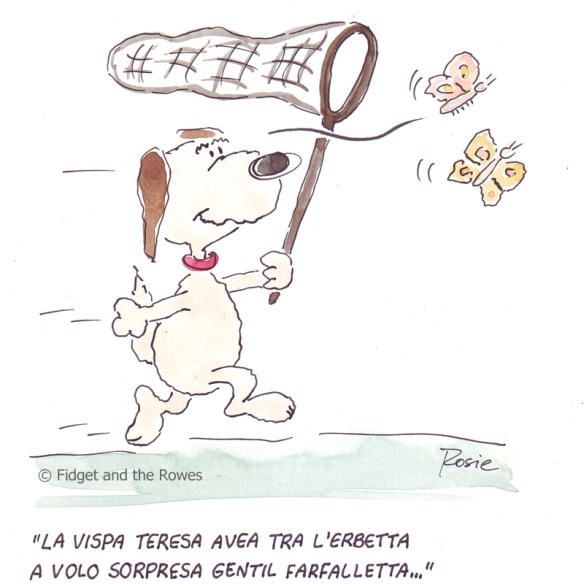 la Vispa Teresa butterflies farfalle