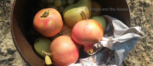 pomegranates melograni