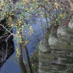 Edinburgh Reflections